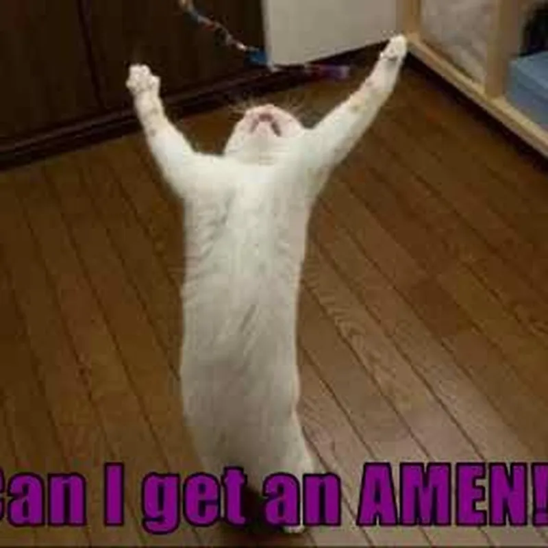 Can I Get An Amen? by Parody