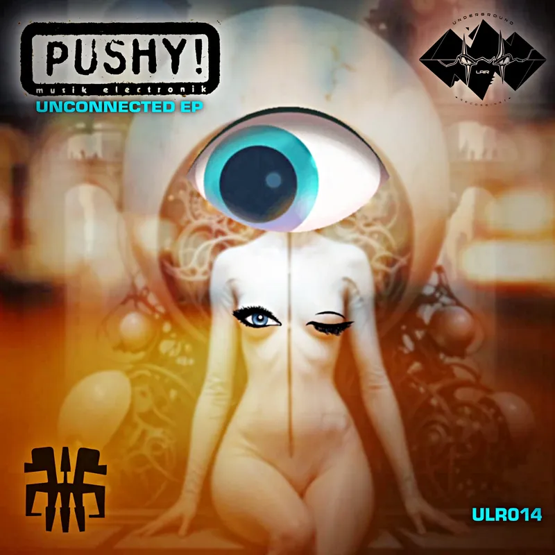 Unconnected by Pushy!